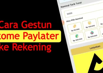 gestun atome paylater